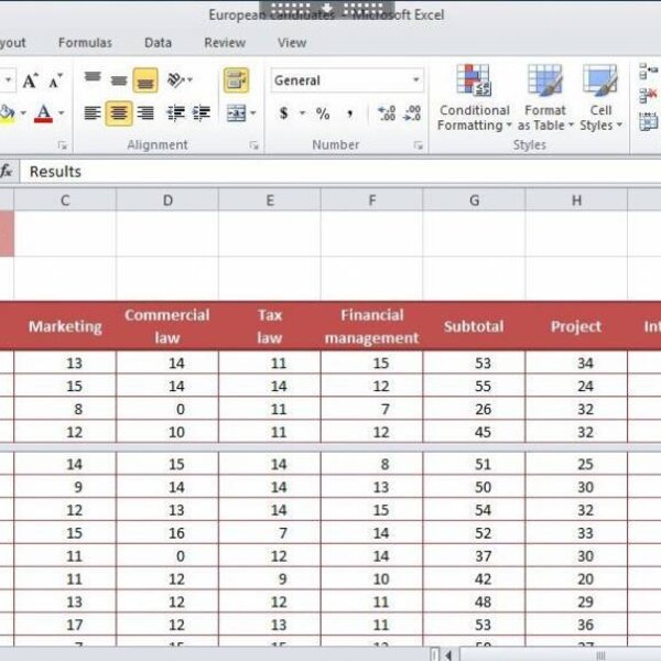 Excel 2010 Course E-learning Basics
