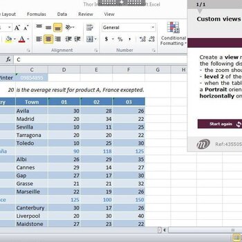 Excel 2010 Course E-learning Basics & Intermediate