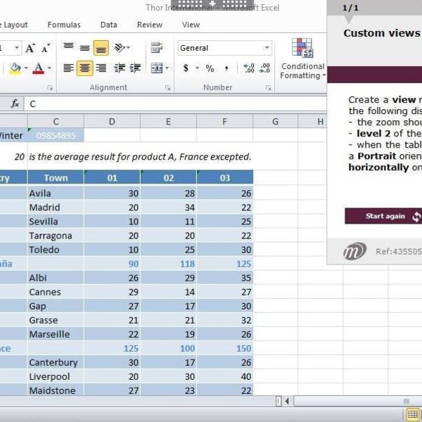 Excel 2010 Course E-learning Basics & Intermediate