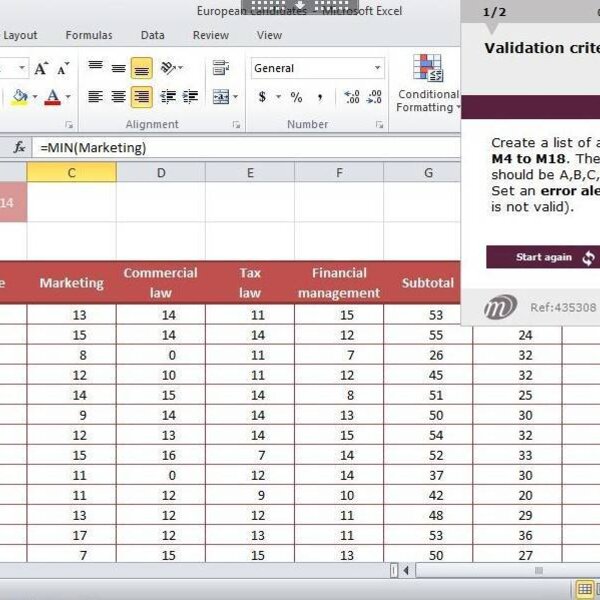 Excel 2010 Course E-learning Intermediate & Expert