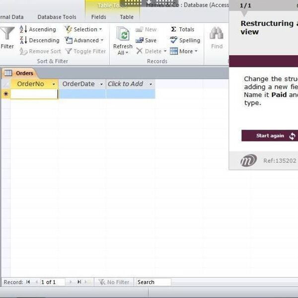 Access 2010 Course E-learning Basics, Intermediate & Expert