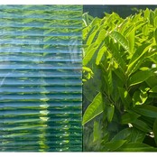 Pattern Privacy Film | MR20 | Ribbed glass effect - Clear
