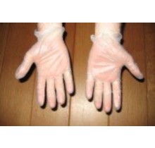 Special Vinyl Gloves (5 pairs)