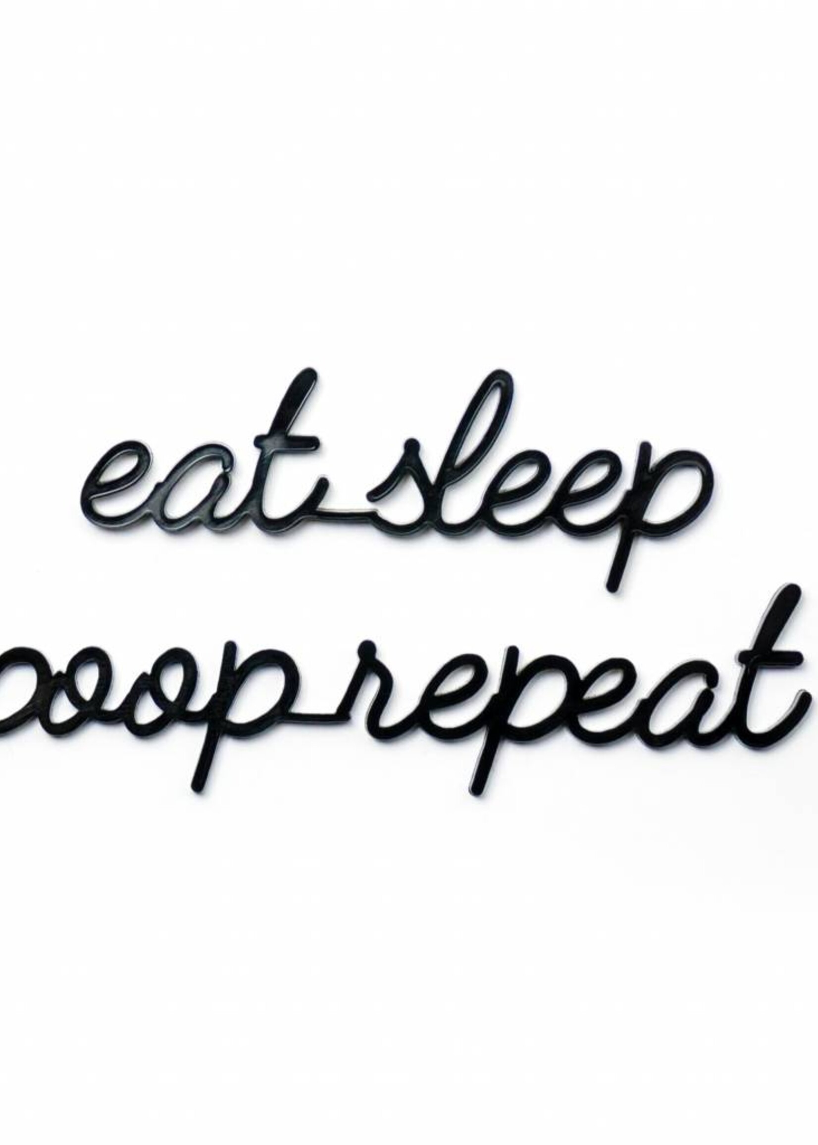 EAT SLEEP POOP REPEAT