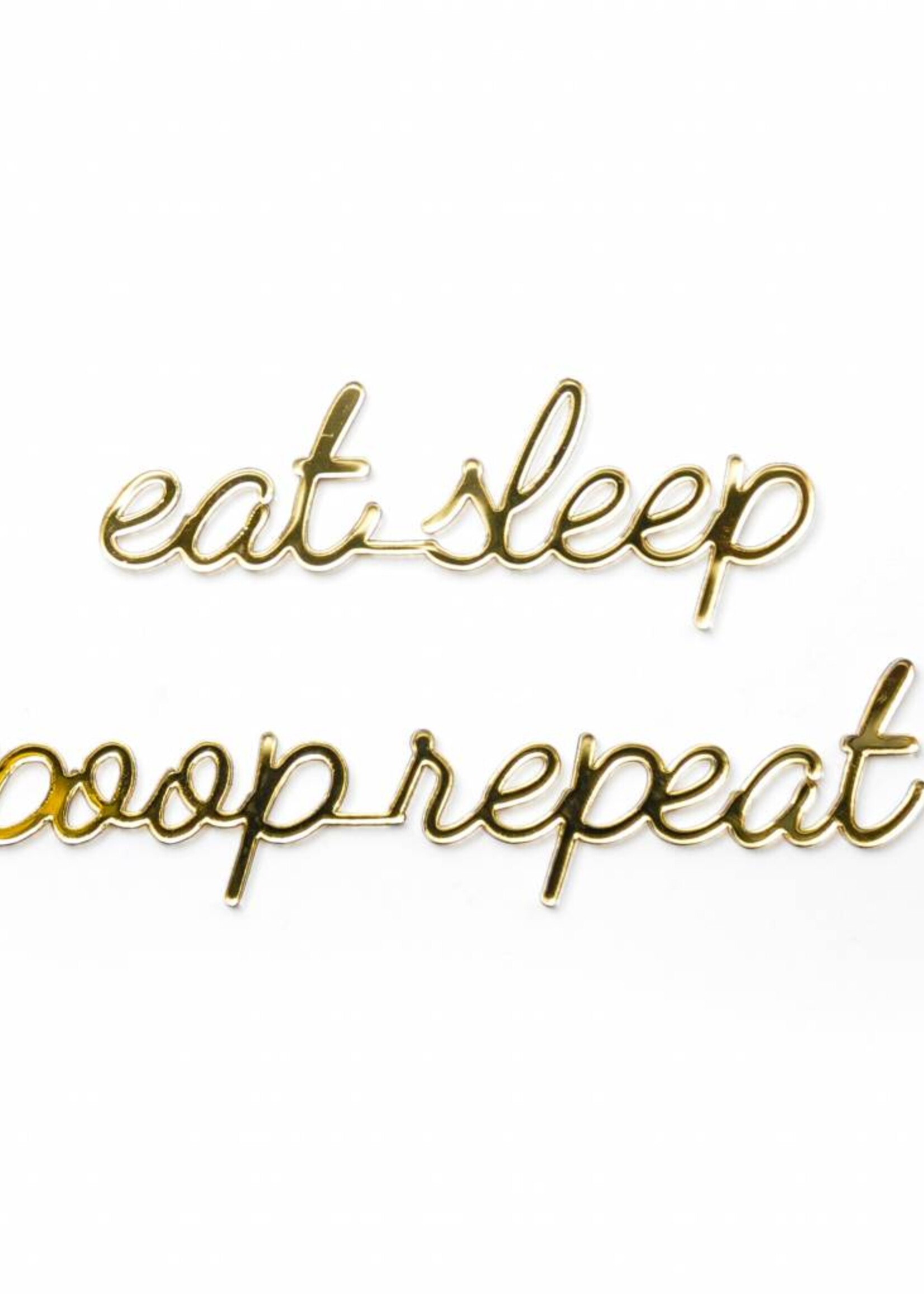 EAT SLEEP POOP REPEAT