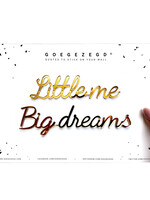 LITTLE ME BIG DREAMS