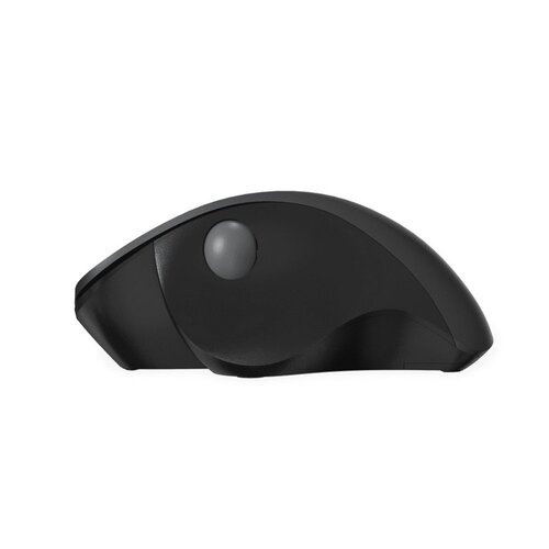 QWare QWARE Wireless Mouse Luton Zwart