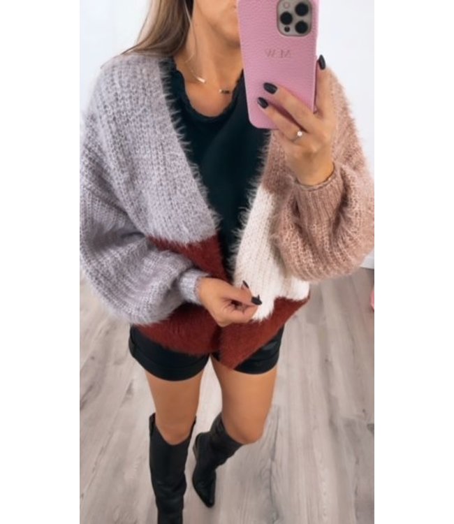 Gebreid vest bruin/beige