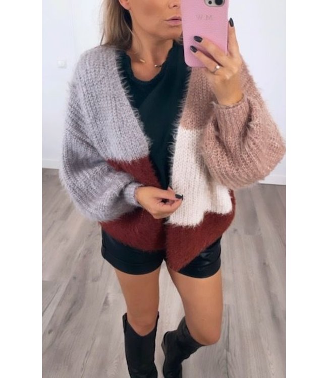 Gebreid vest bruin/beige