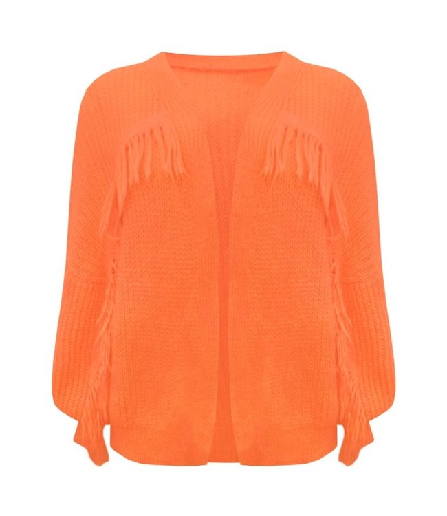 Fringe vest ornaje