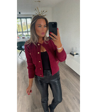 Cardigan burgundy