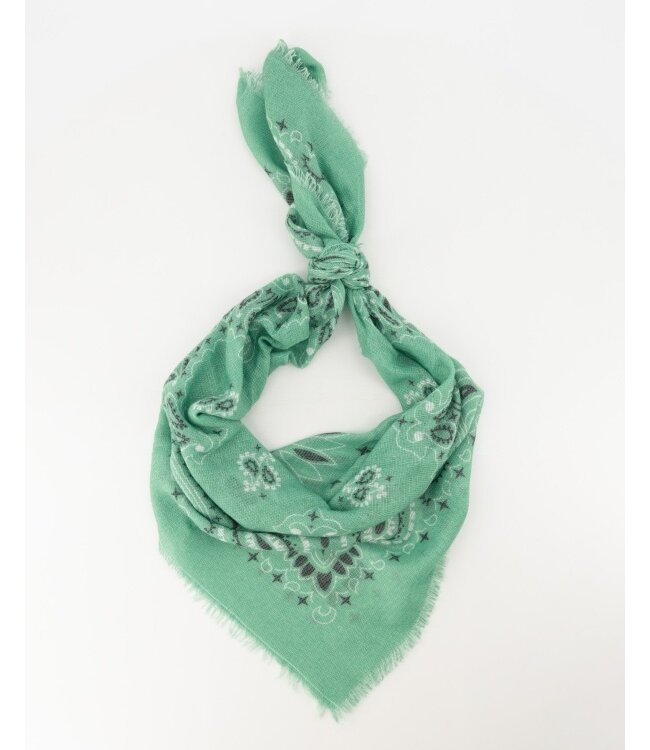 Bandana scarf fee       green