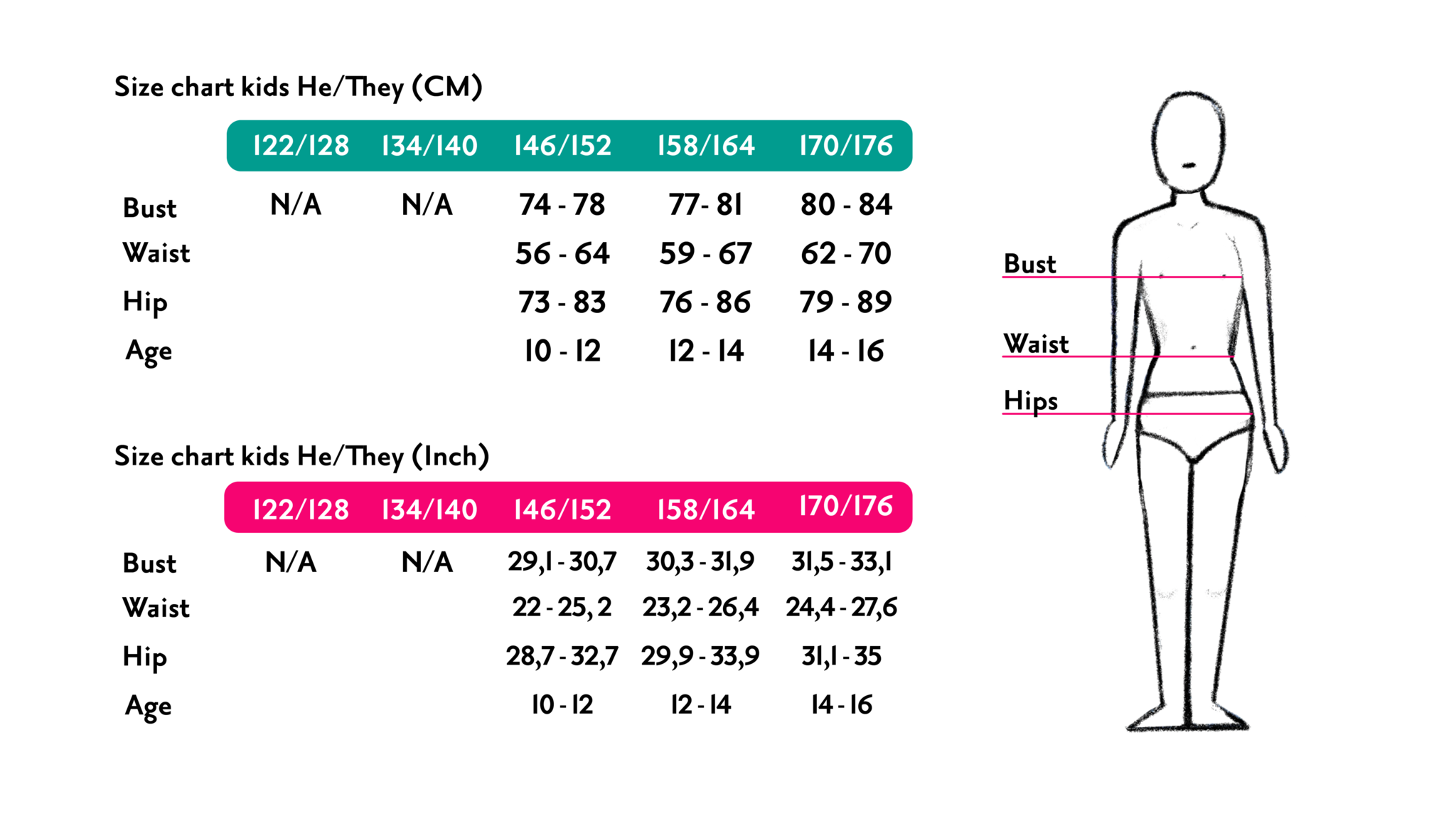 chest binder size chart