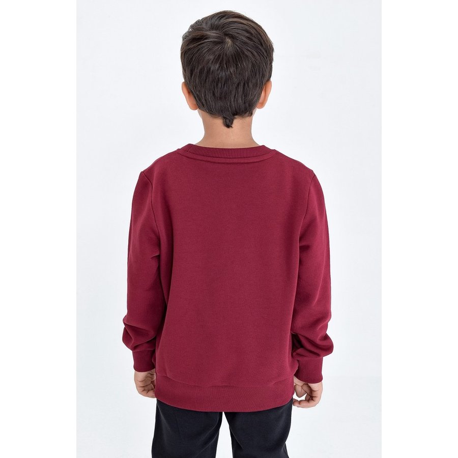Trabzonspor Youth Sweater TS