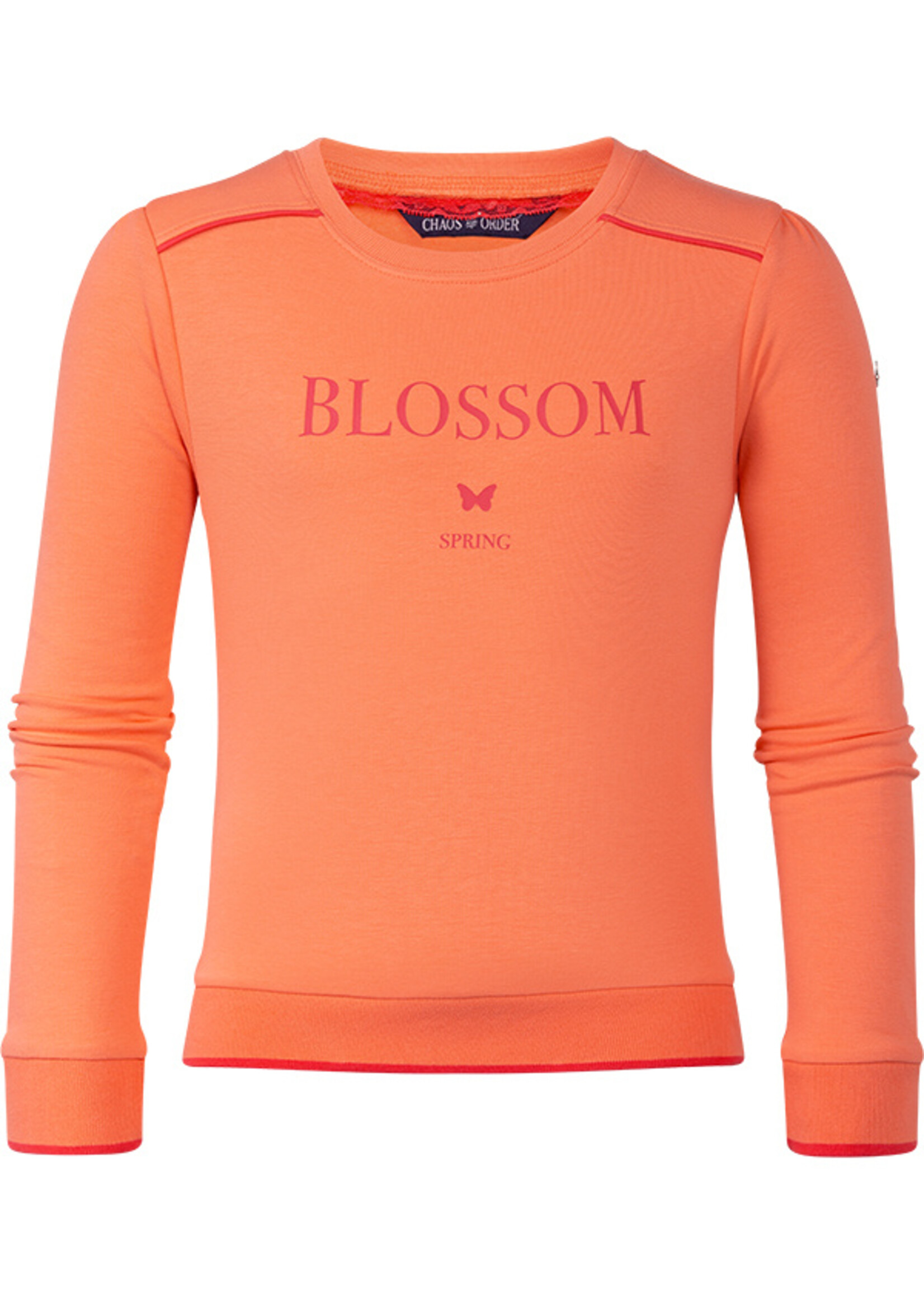 Sweater Blossom melon