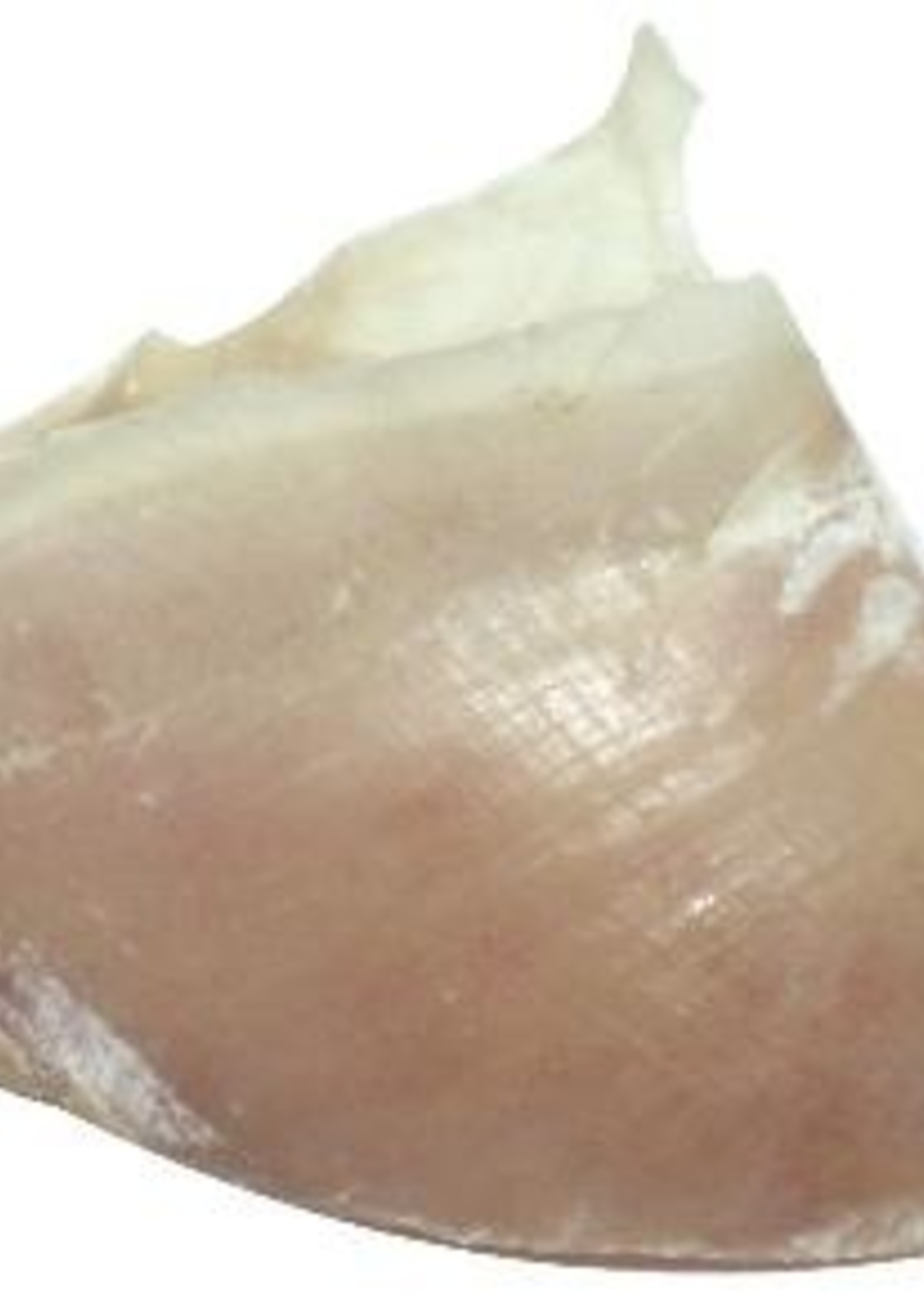 Petsnack 100x petsnack kalfshoeven groot