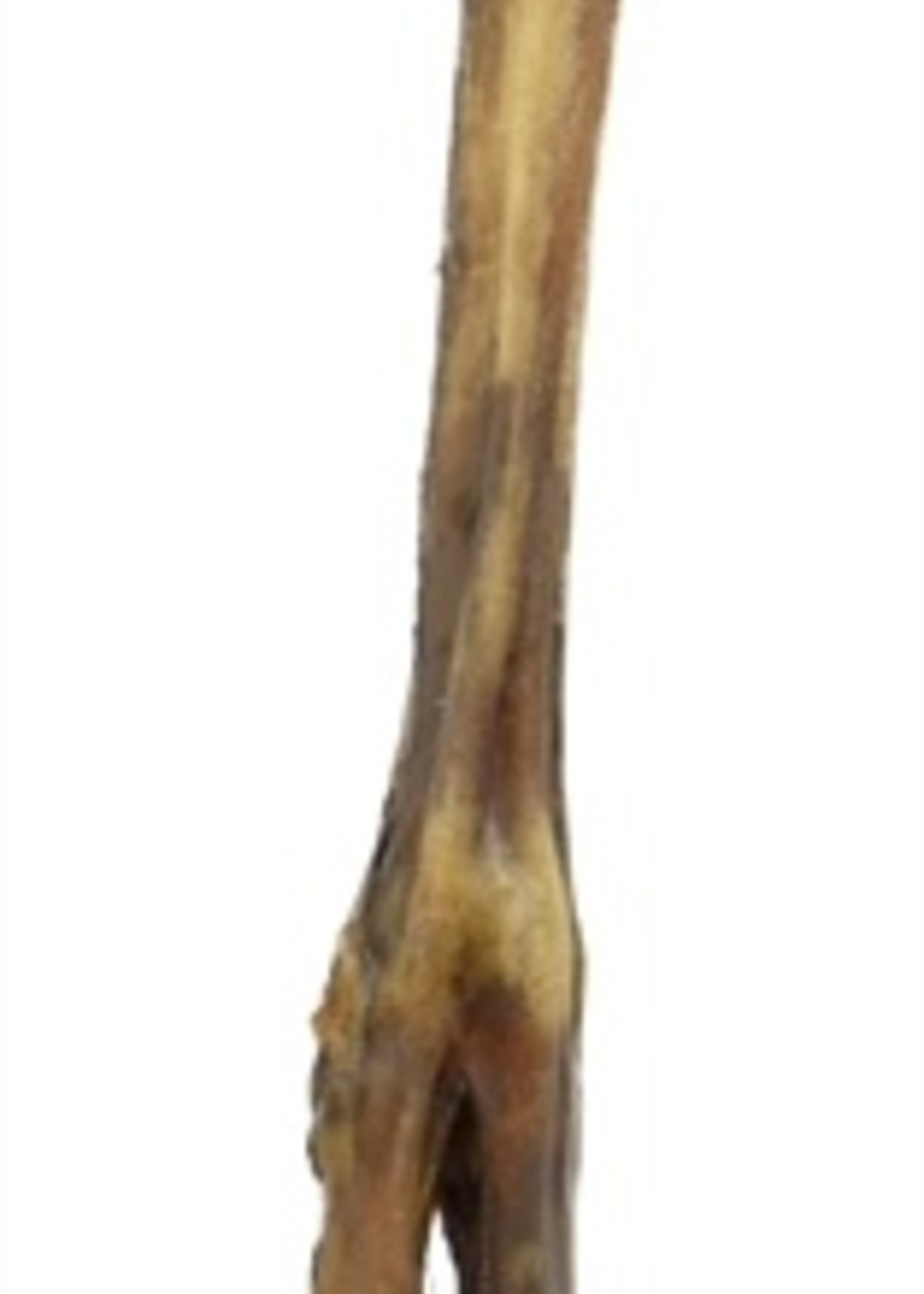 I am I am hertenpoot