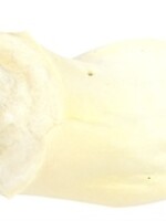 I am I am buffeloor gepoft