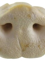 Petsnack 25x petsnack varkensneuzen