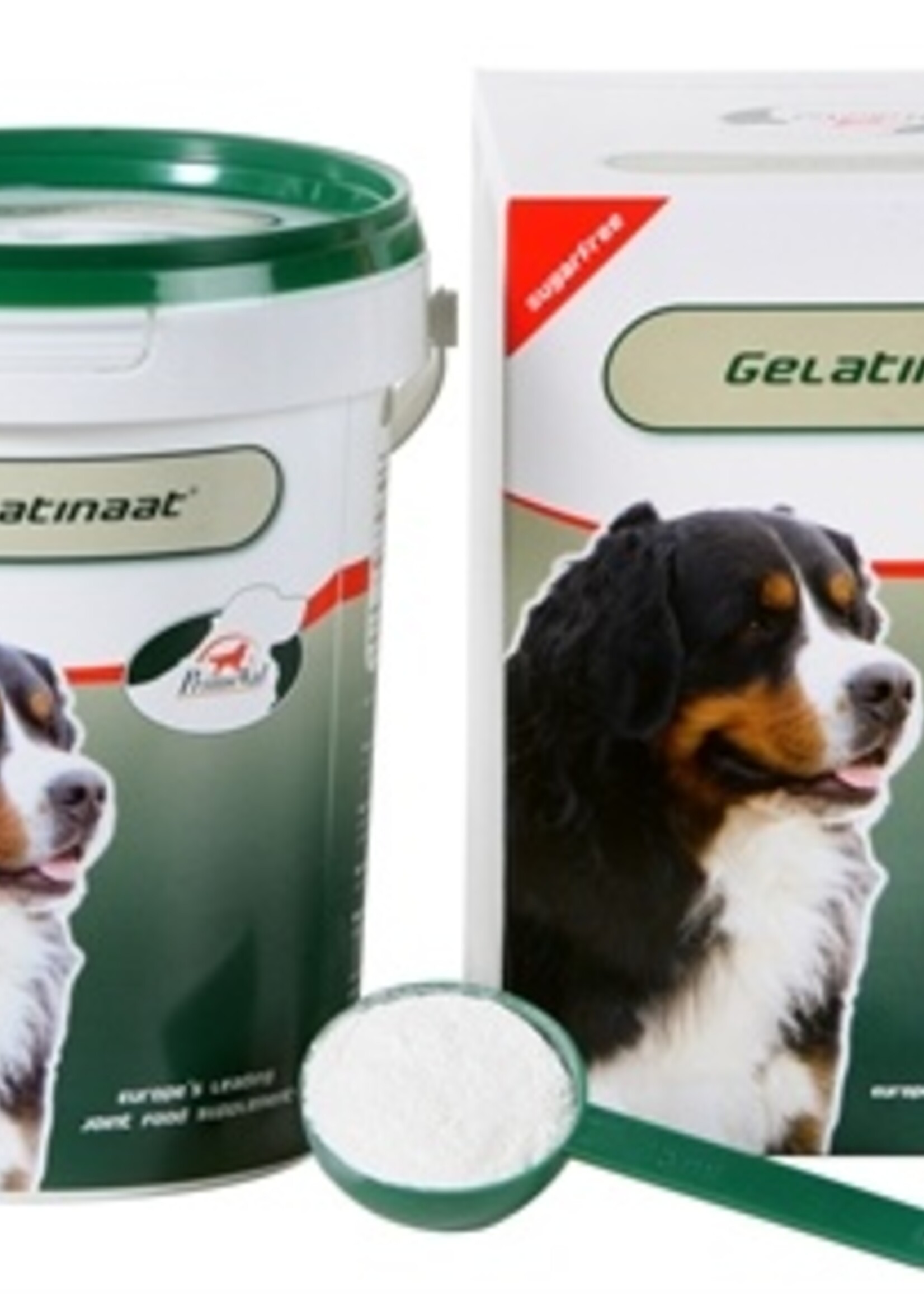Primeval Primeval gelatinaat hond