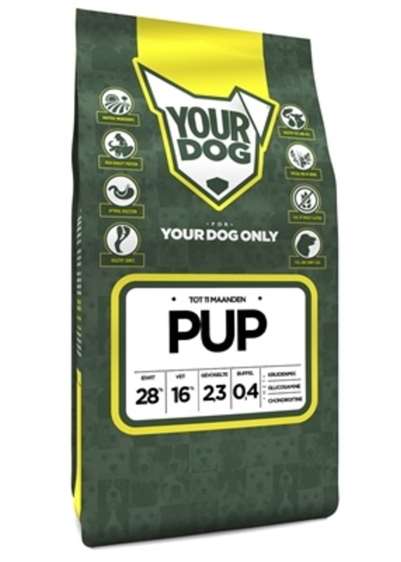 Yourdog Yourdog puppy