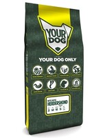 Yourdog Yourdog witte duitse herdershond senior