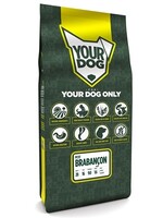 Yourdog Yourdog petit brabanÇon pup