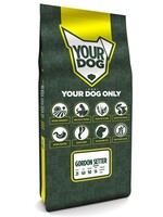 Yourdog Yourdog gordon setter senior