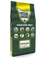 Yourdog Yourdog coton de tulÉar senior