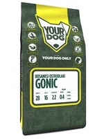 Yourdog Yourdog bosanksi ostrodlaki gonic pup