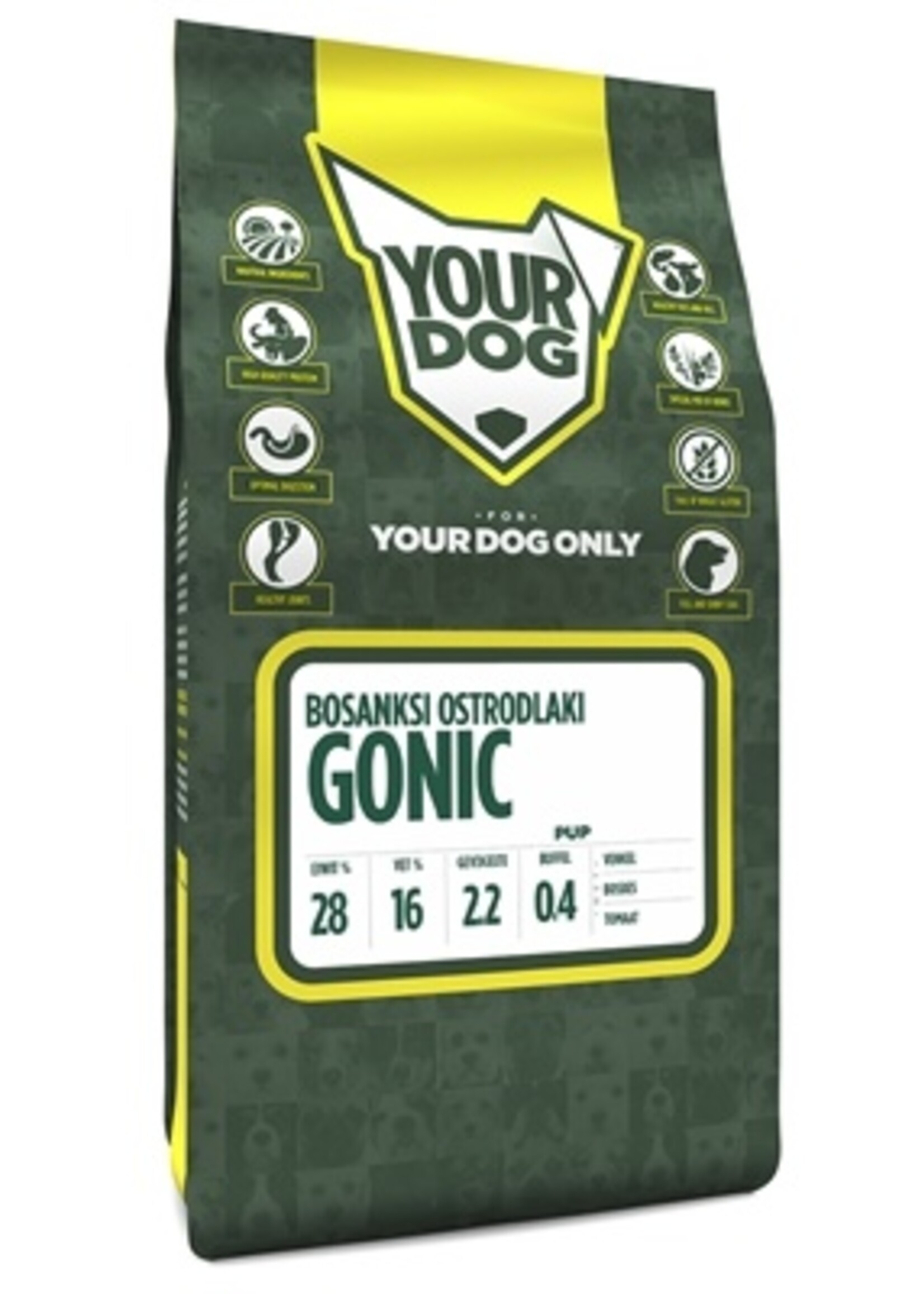 Yourdog Yourdog bosanksi ostrodlaki gonic pup