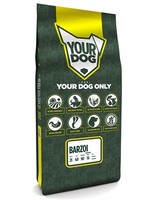 Yourdog Yourdog barzoi senior