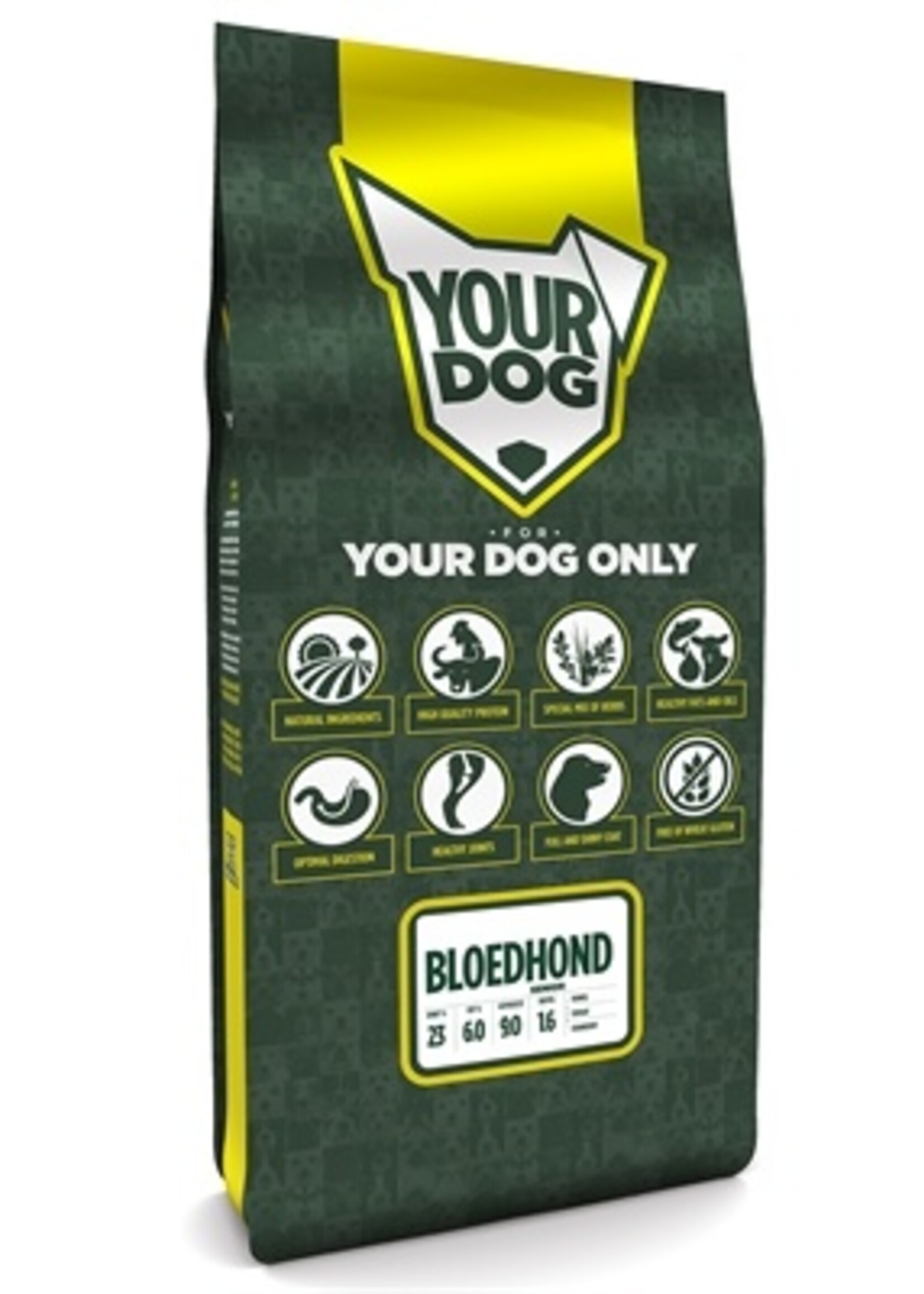 Yourdog Yourdog bloedhond senior