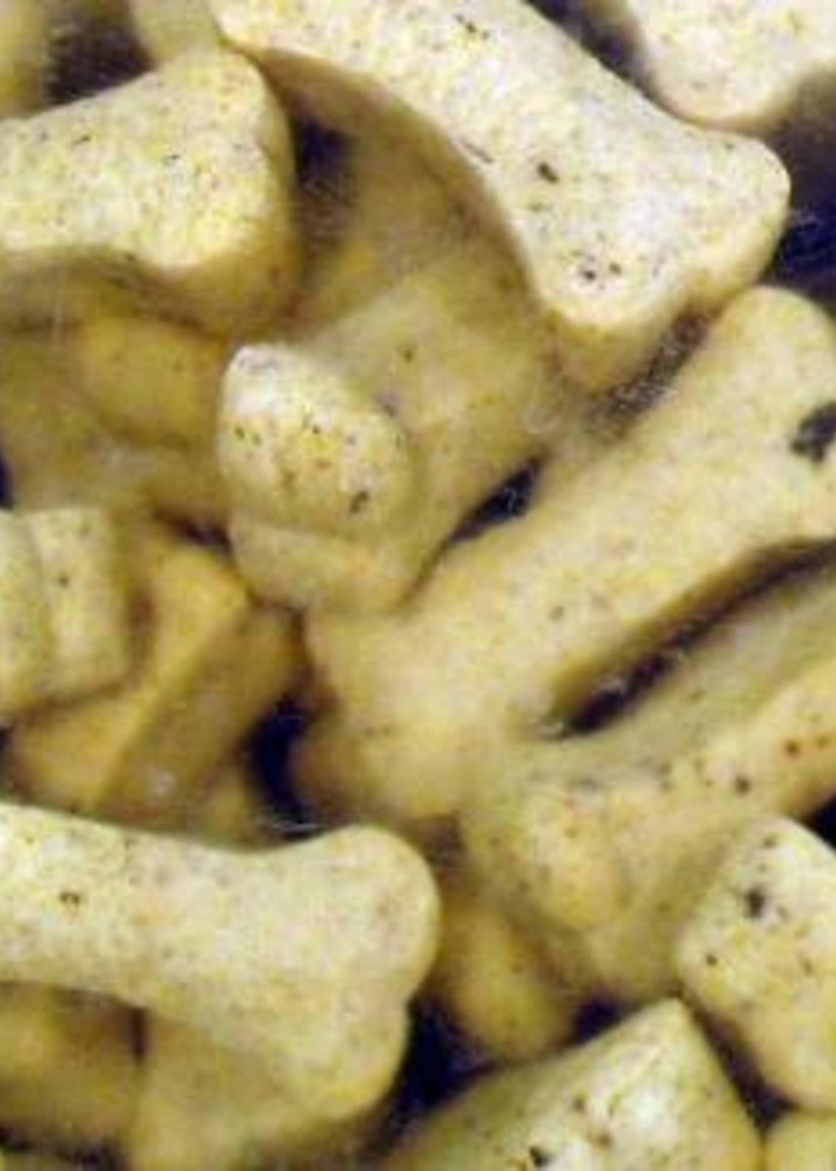 Jack doggies Jack doggies inimini wit