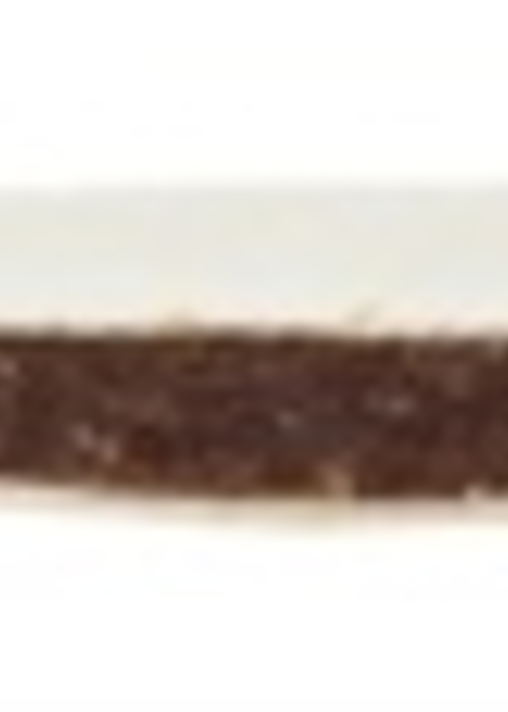 Trixie Trixie premio deer fish sandwiches