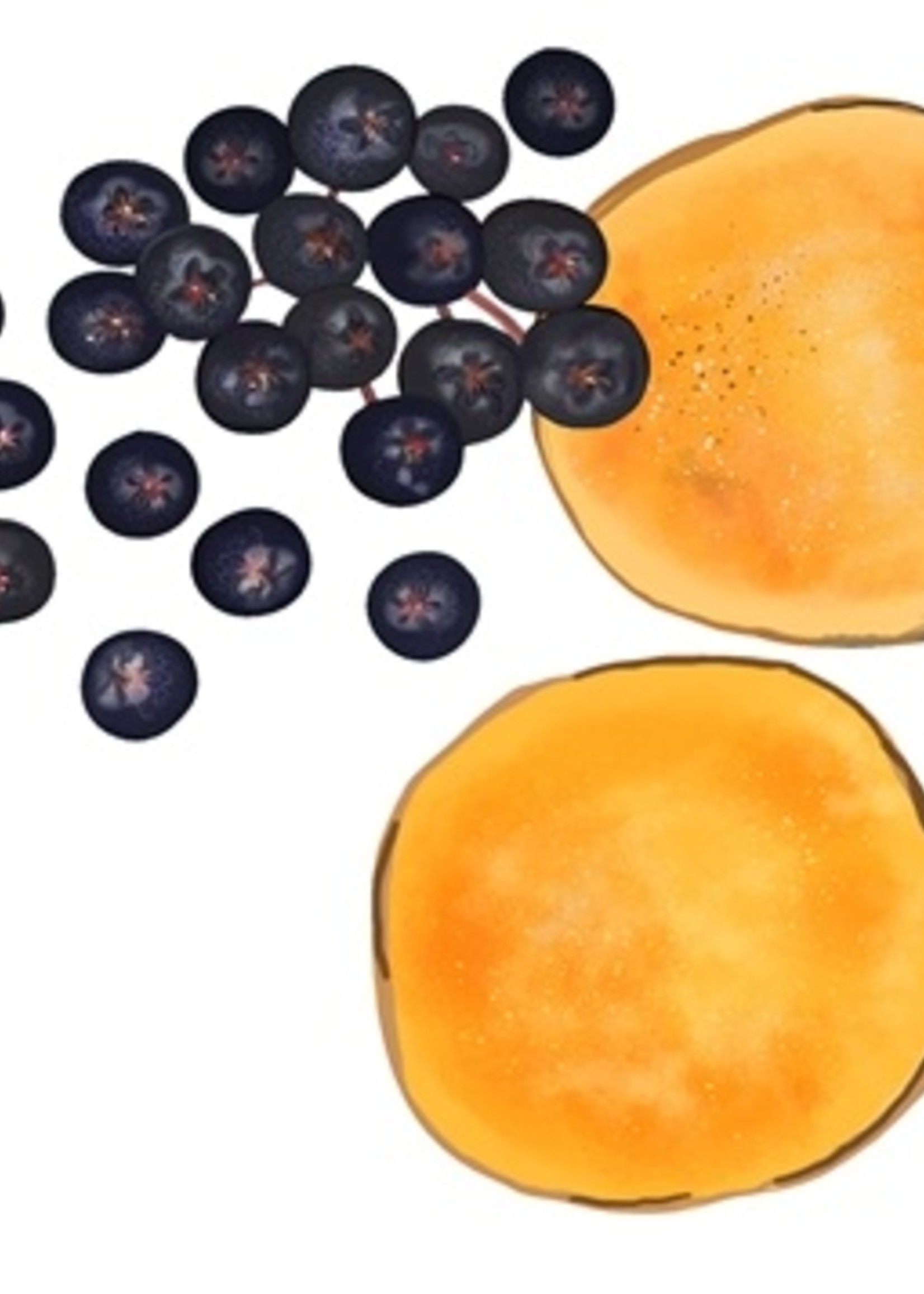 Gimdog Gimdog senses prey bites kip / vlierbes / zoete aardappel