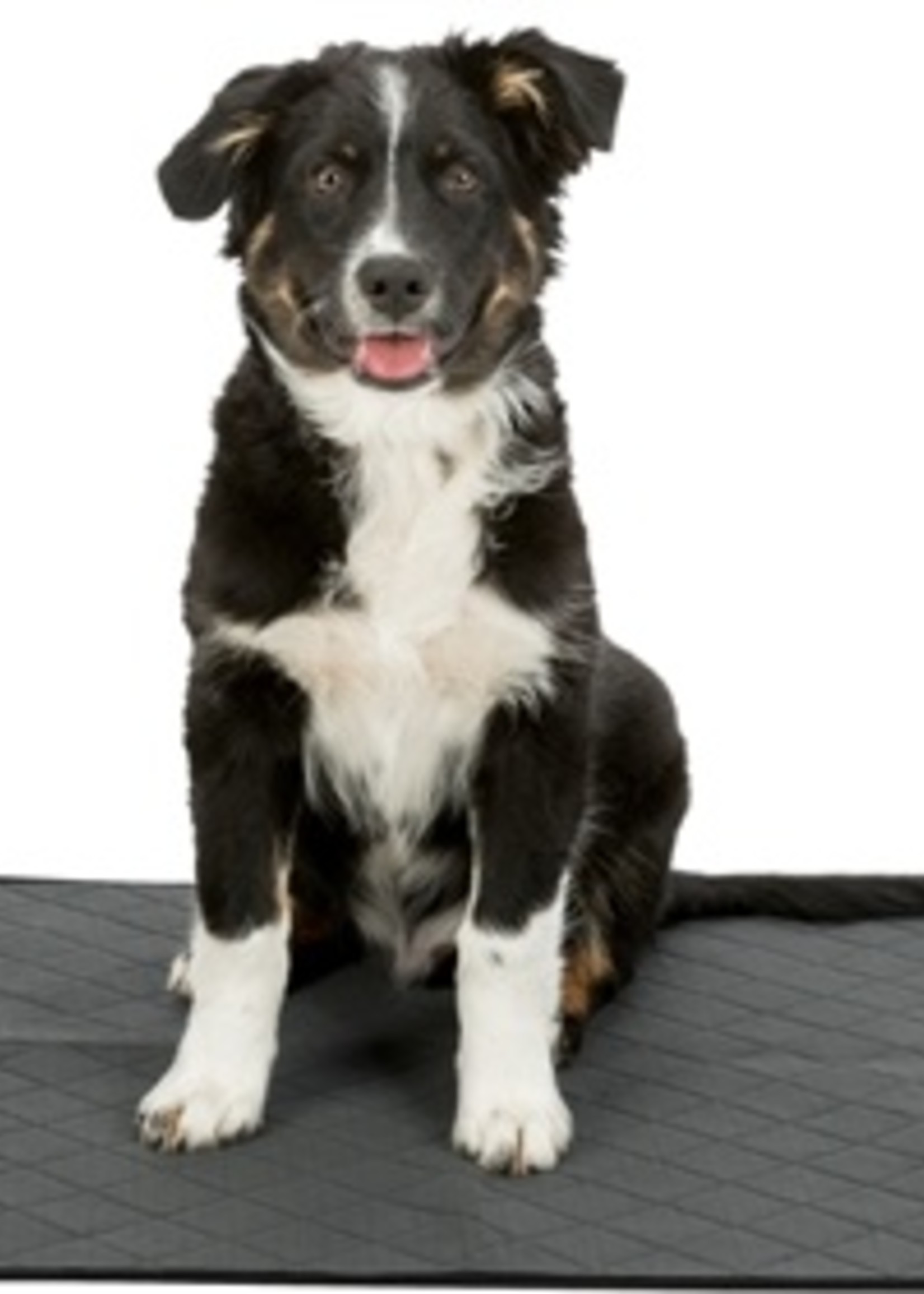 Trixie Trixie nappy wash onderlegger mand grijs