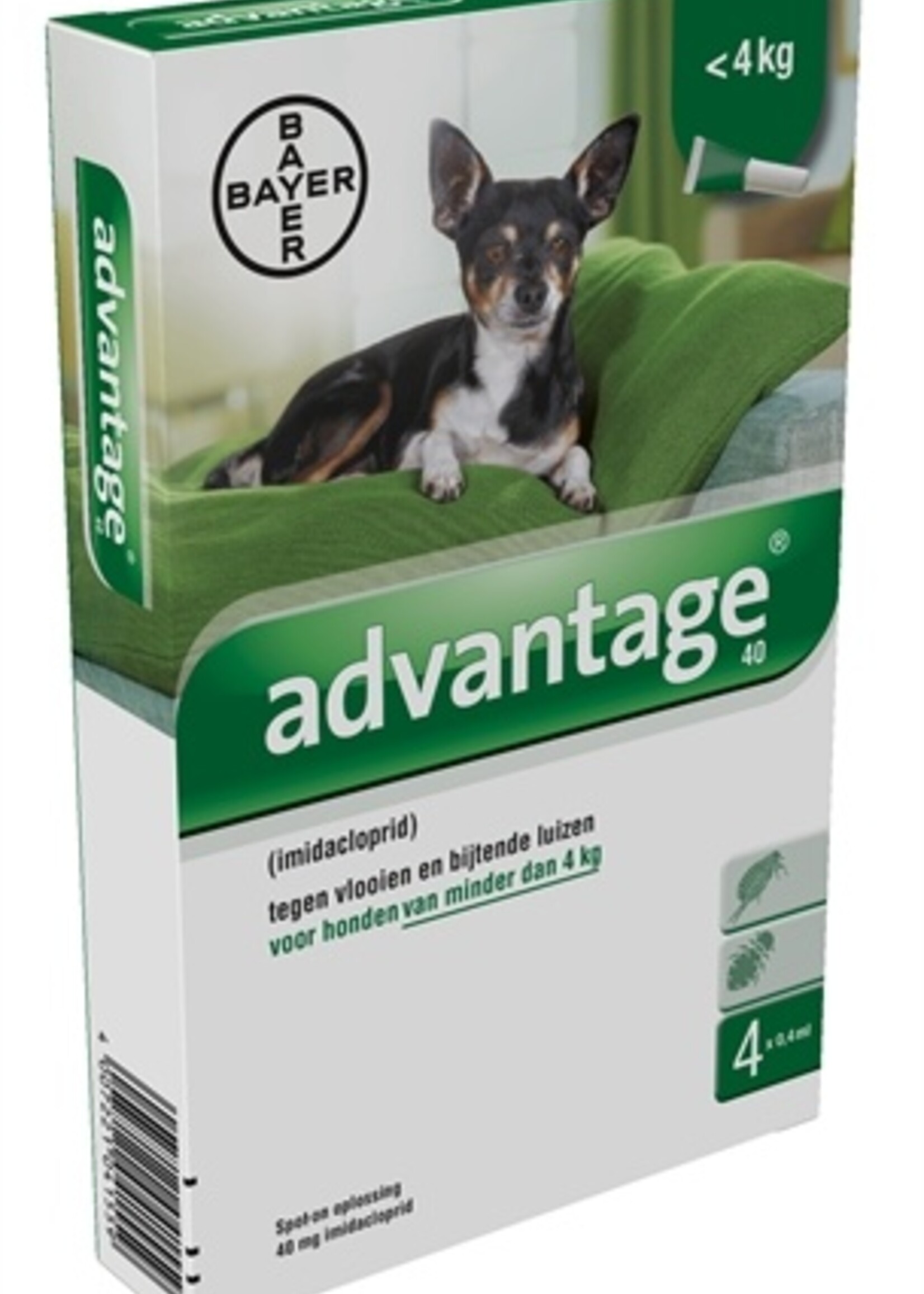 Bayer Bayer advantage hond 4 pipetten