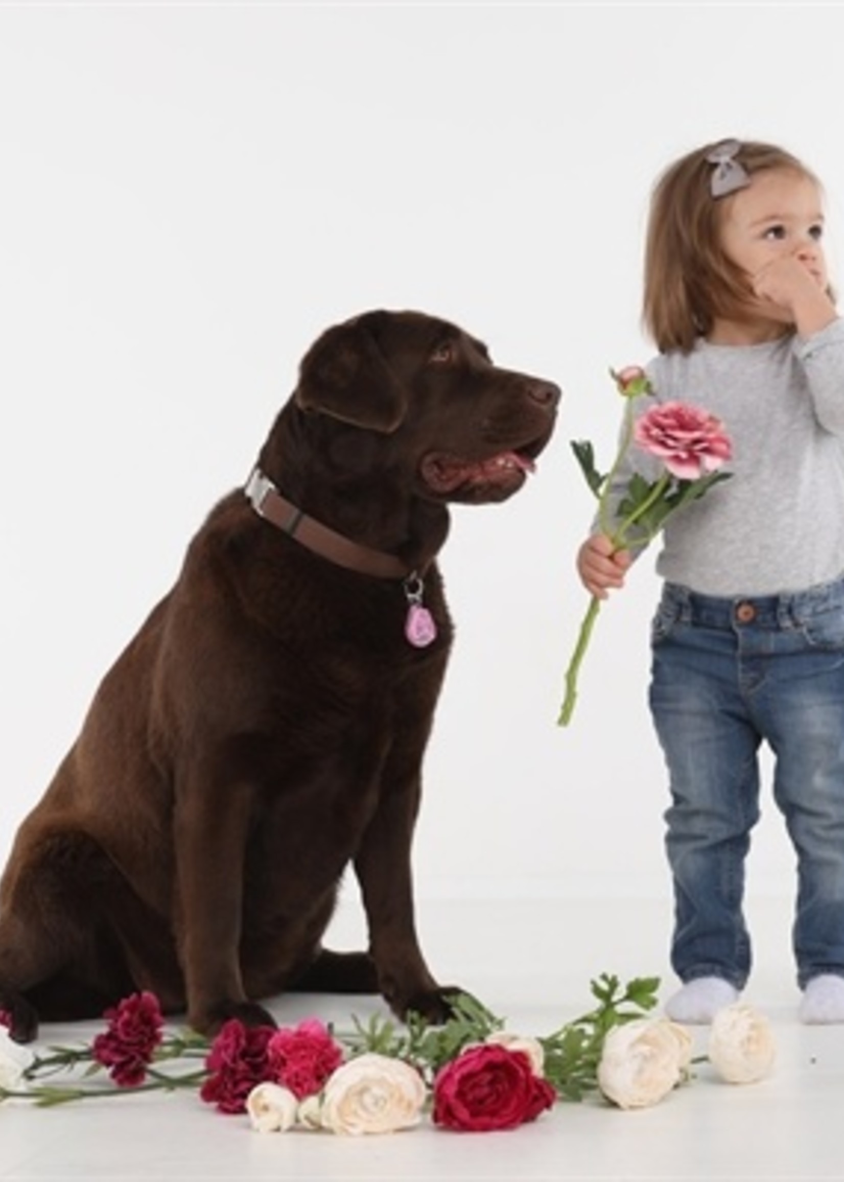 Tickless Tickless teek en vlo afweer voor hond en kat roze