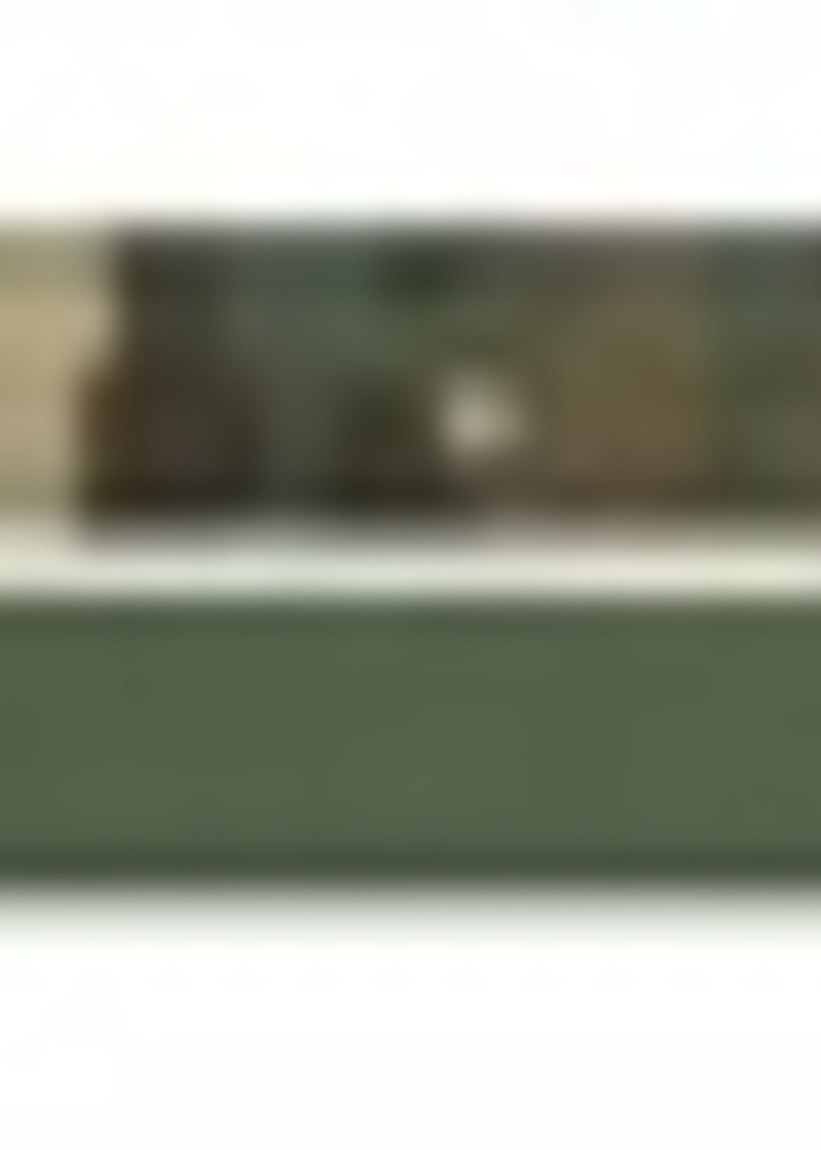 Trixie Trixie hondenriem premium neopreen verstelbaar camouflage groen