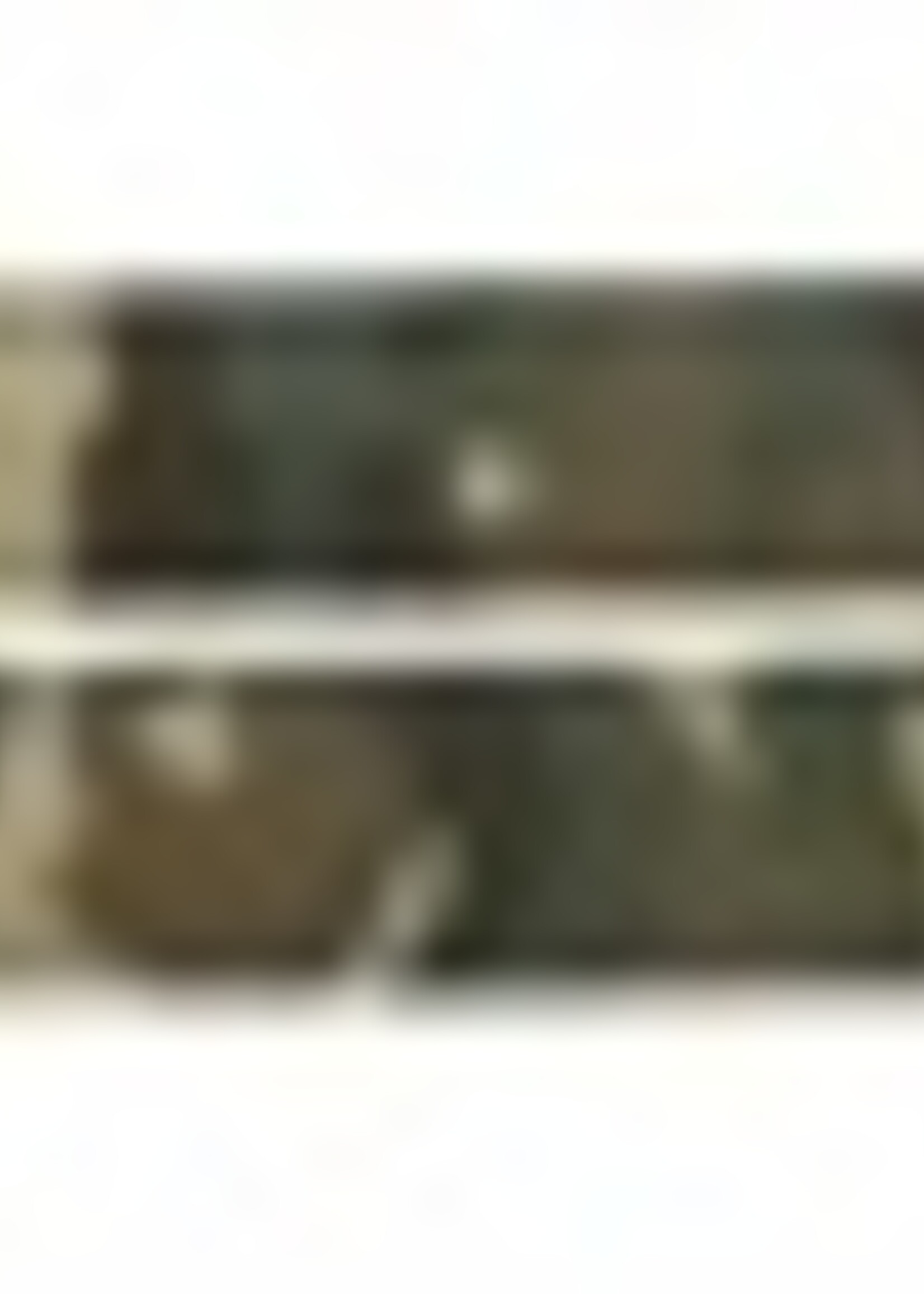 Trixie Trixie hondenriem premium neopreen verstelbaar camouflage groen