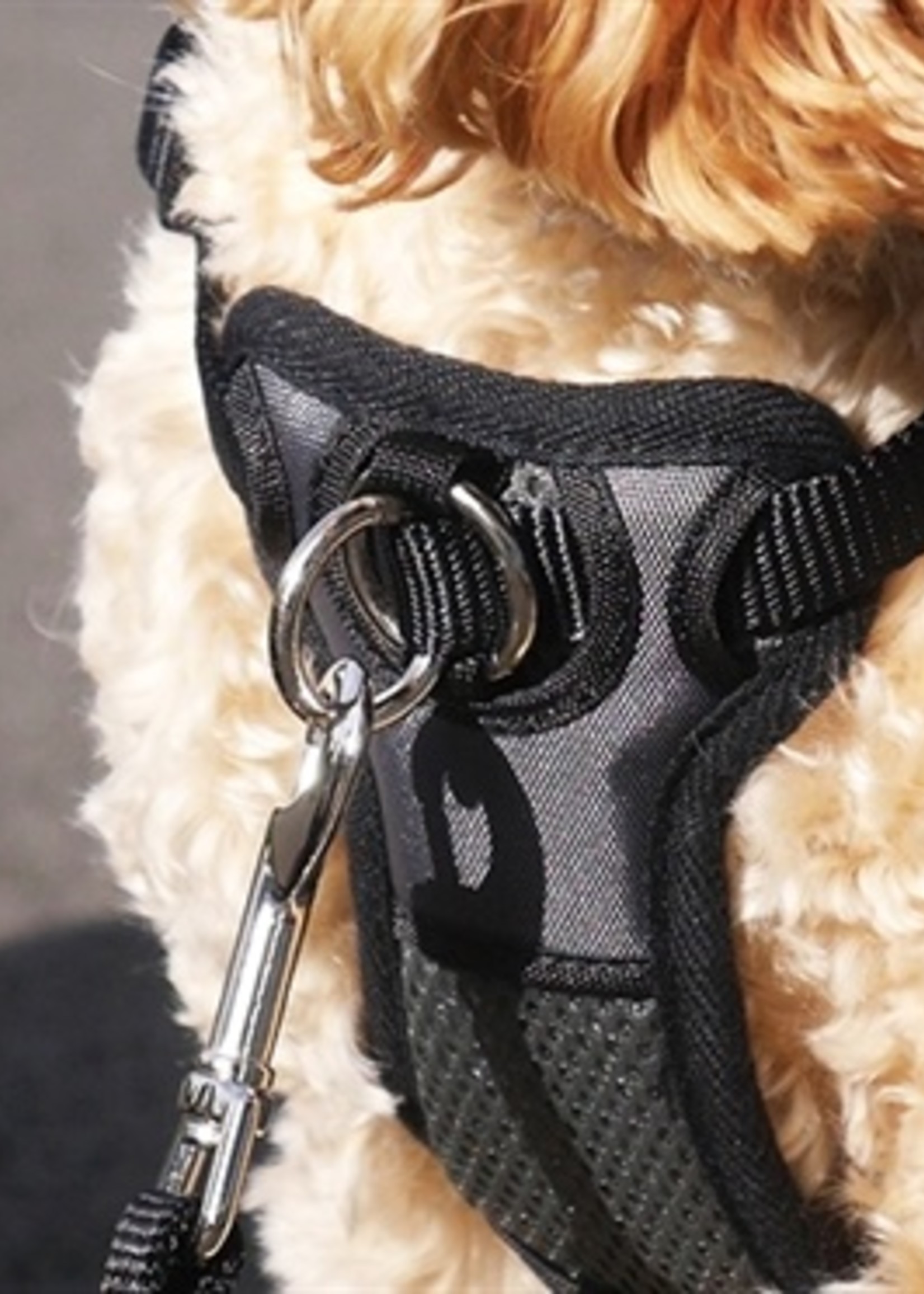 Rosewood Rosewood walk 'n' train hondentuig aanlijning voorzijde