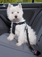 Trixie Trixie hondentuig auto incl gordel zwart