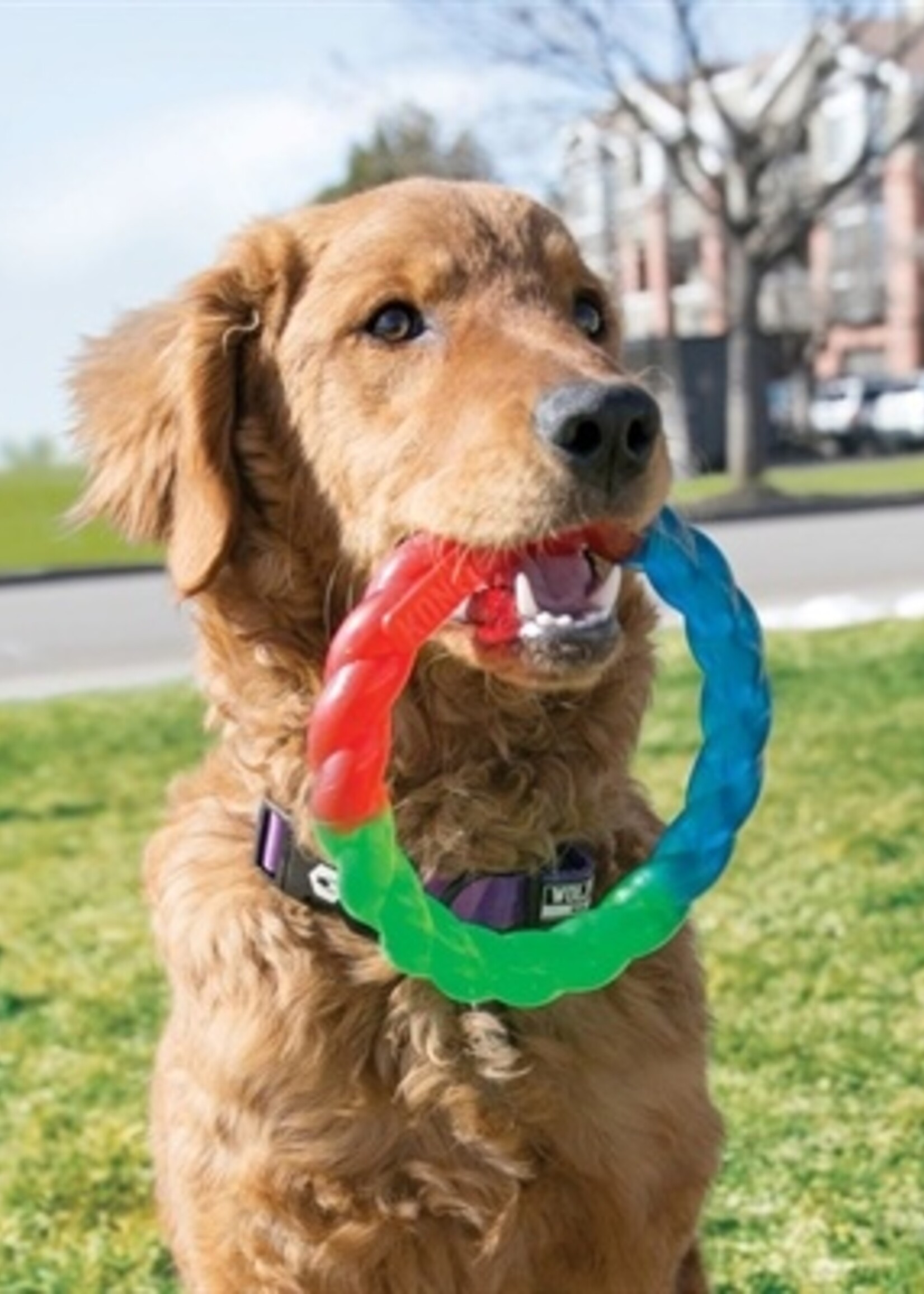 Kong Kong twistz ring