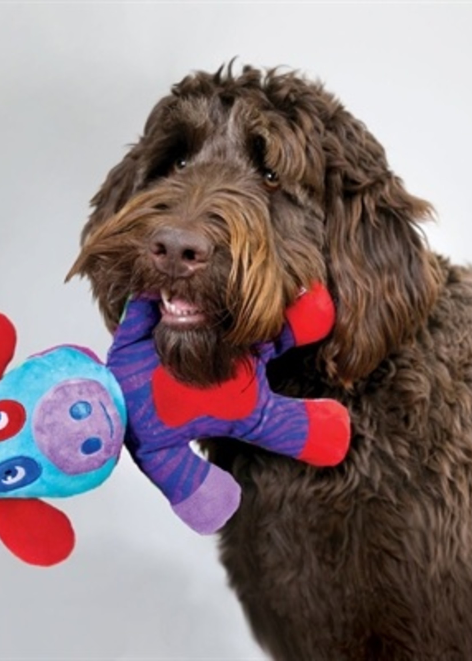 Kong Kong switcheroos assorti