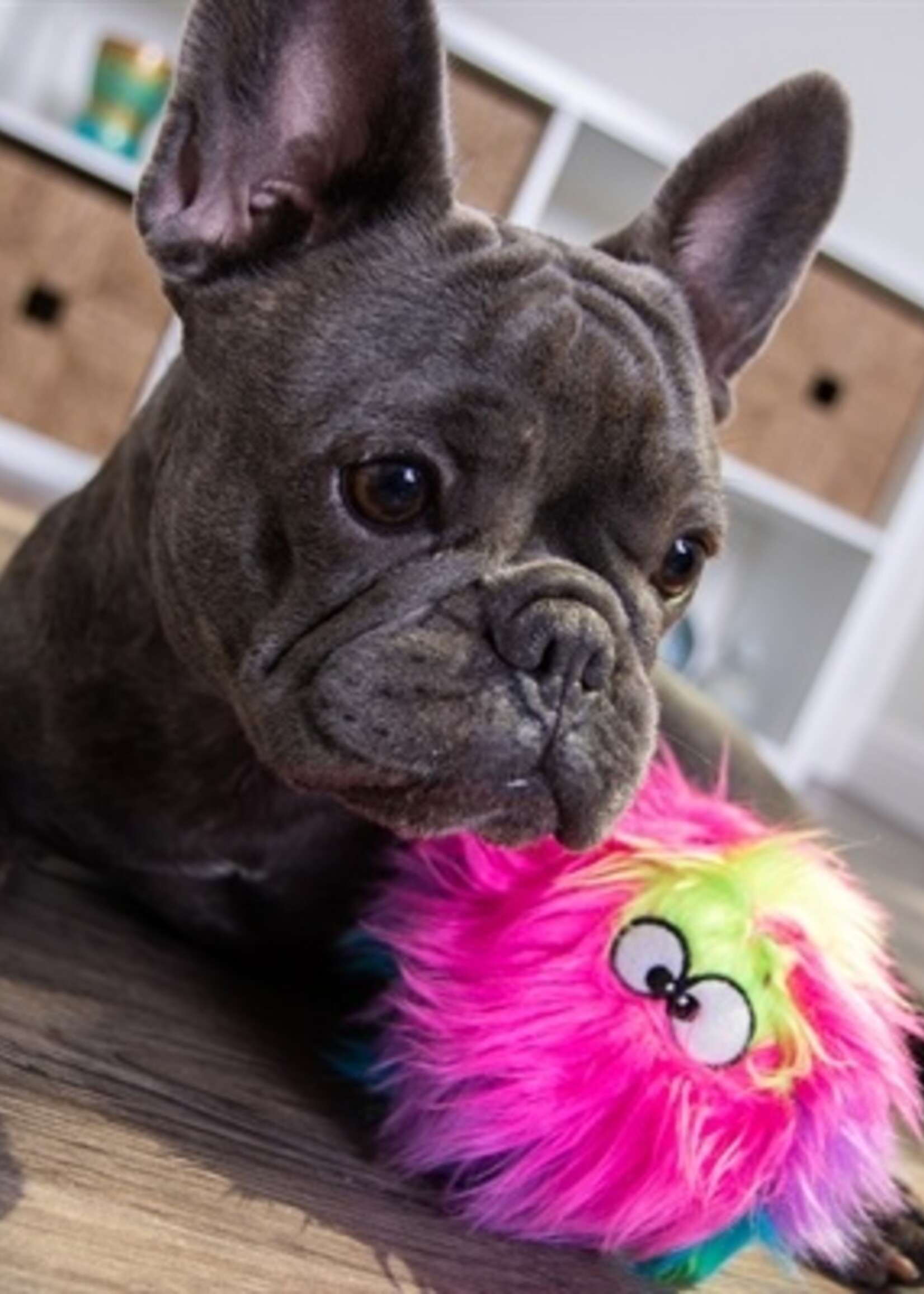 Merkloos Godog furballz