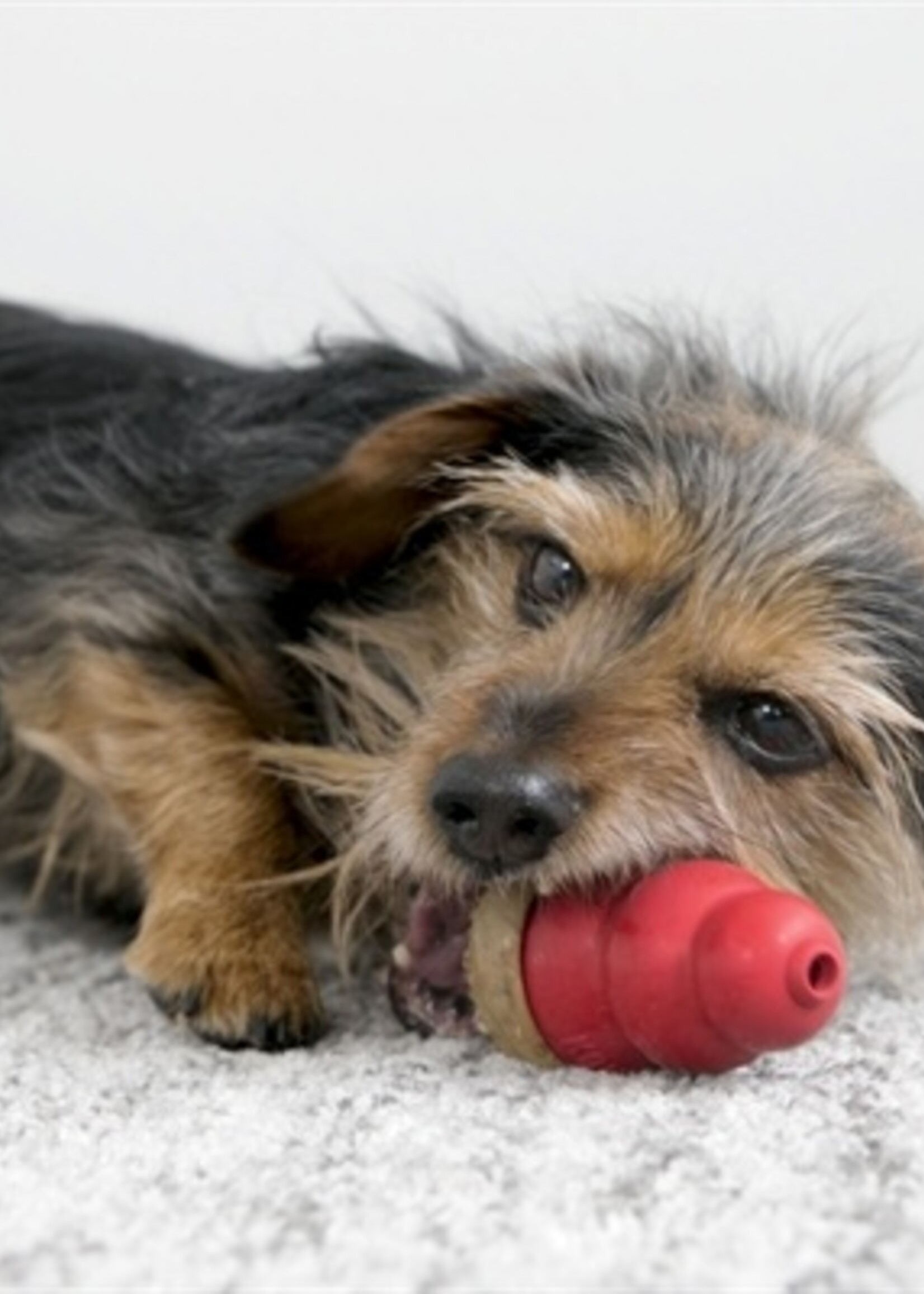 Kong Kong marathon chicken