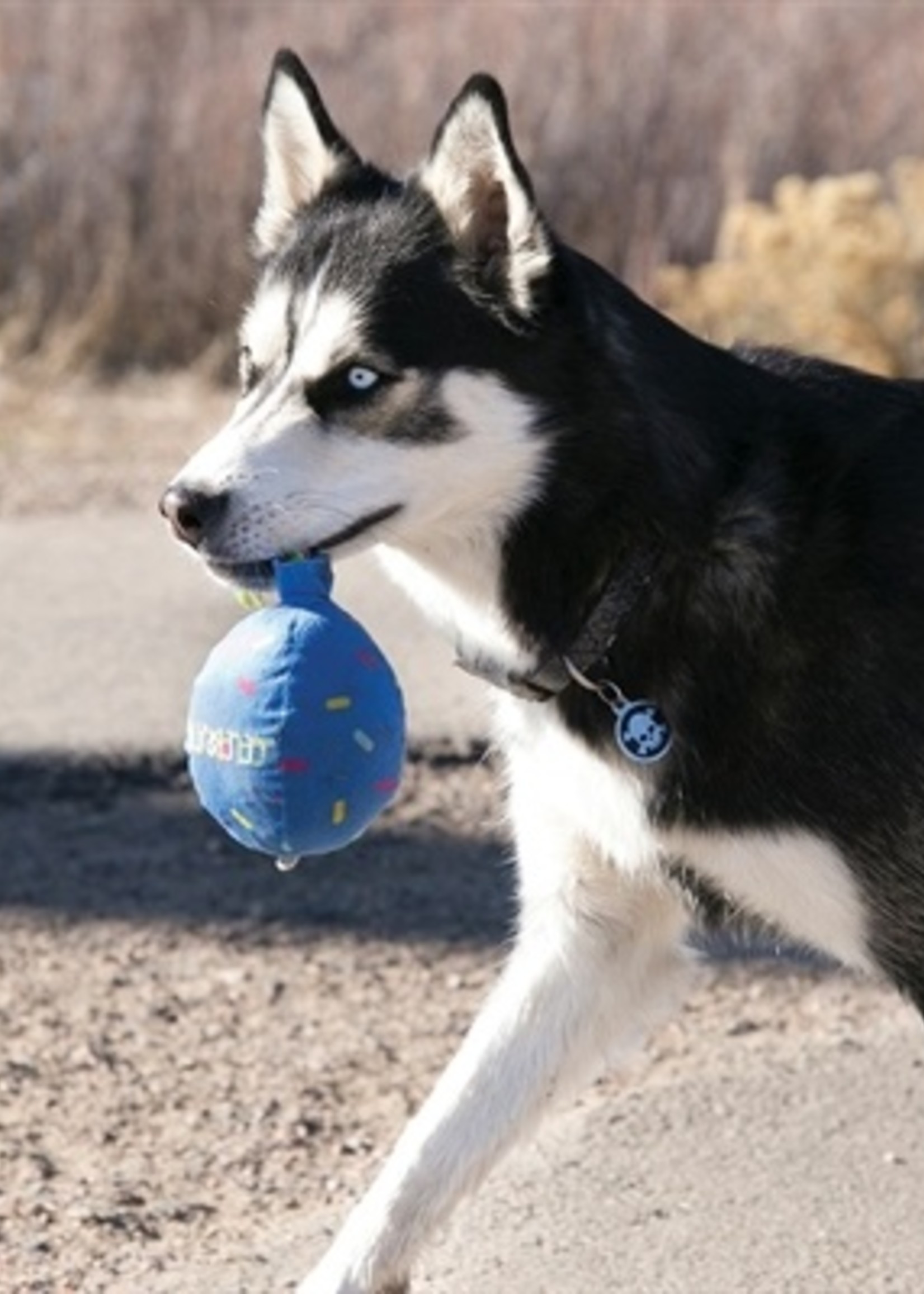 Kong Kong occasions birthday balloon blauw