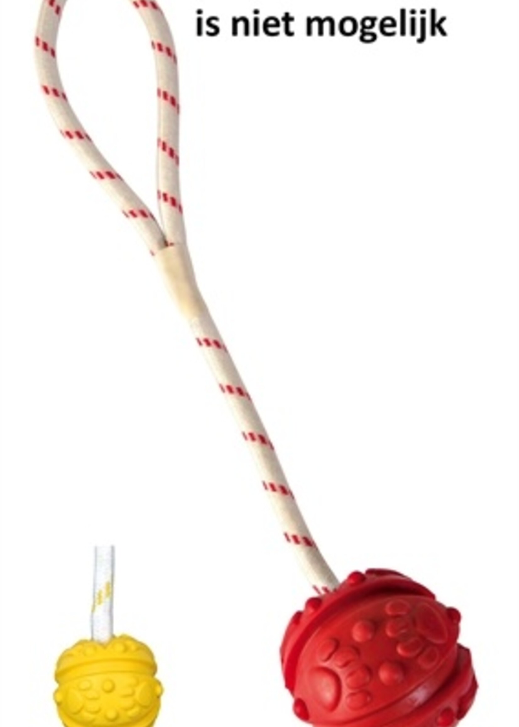 Trixie Trixie bal aan touw natuurrubber drijvend assorti