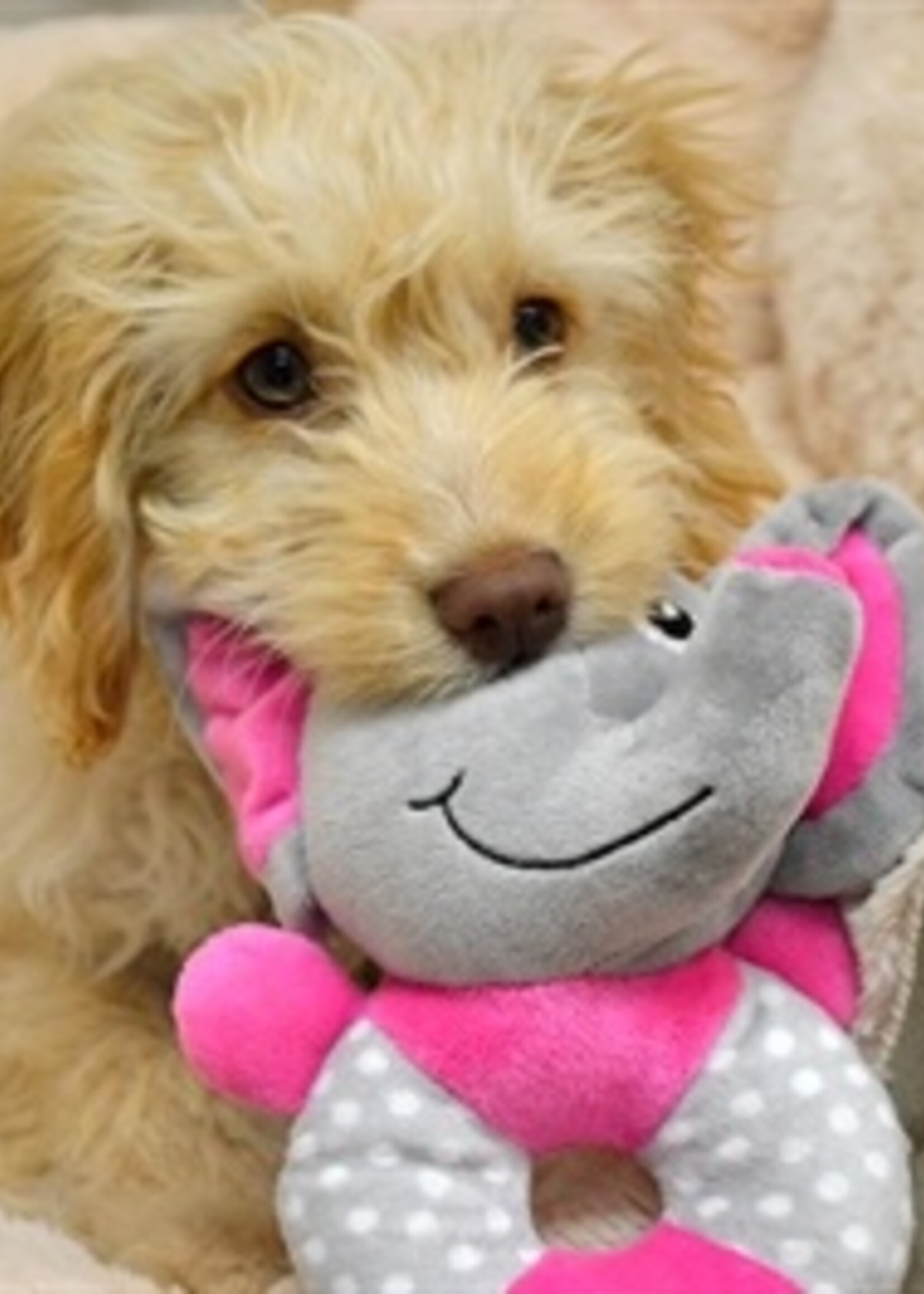 Little rascals Little rascals pluche speelring olifant